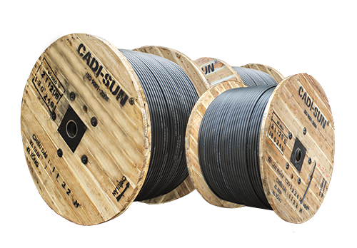 Cáp đồng 5 ruột, bọc cách điện XLPE, vỏ bọc PVC - CXV 3x+2x
