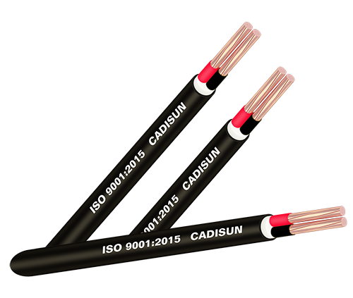 Cáp đồng 2 ruột, bọc cách điện PVC, vỏ bọc PVC - CVV 2x
